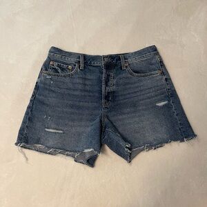 NWOT PISTOLA ANDIE HIGH RISE VINTAGE SHORT - THESIS DISTRESSED